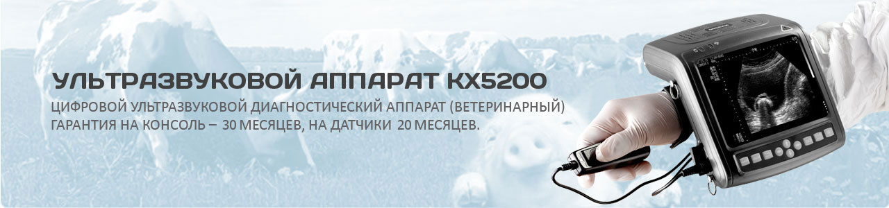 KX5200